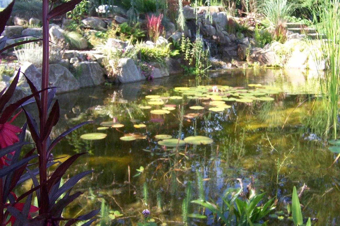 Pflanzungen & Gartenpflege